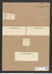 Surirella ovalis Breb. (de-Toni-Nr.: Genus 53, Species 2271) Zeichnungen Sammlung Grunow Nr. 4700 (NHMW-BOT-W0372785)